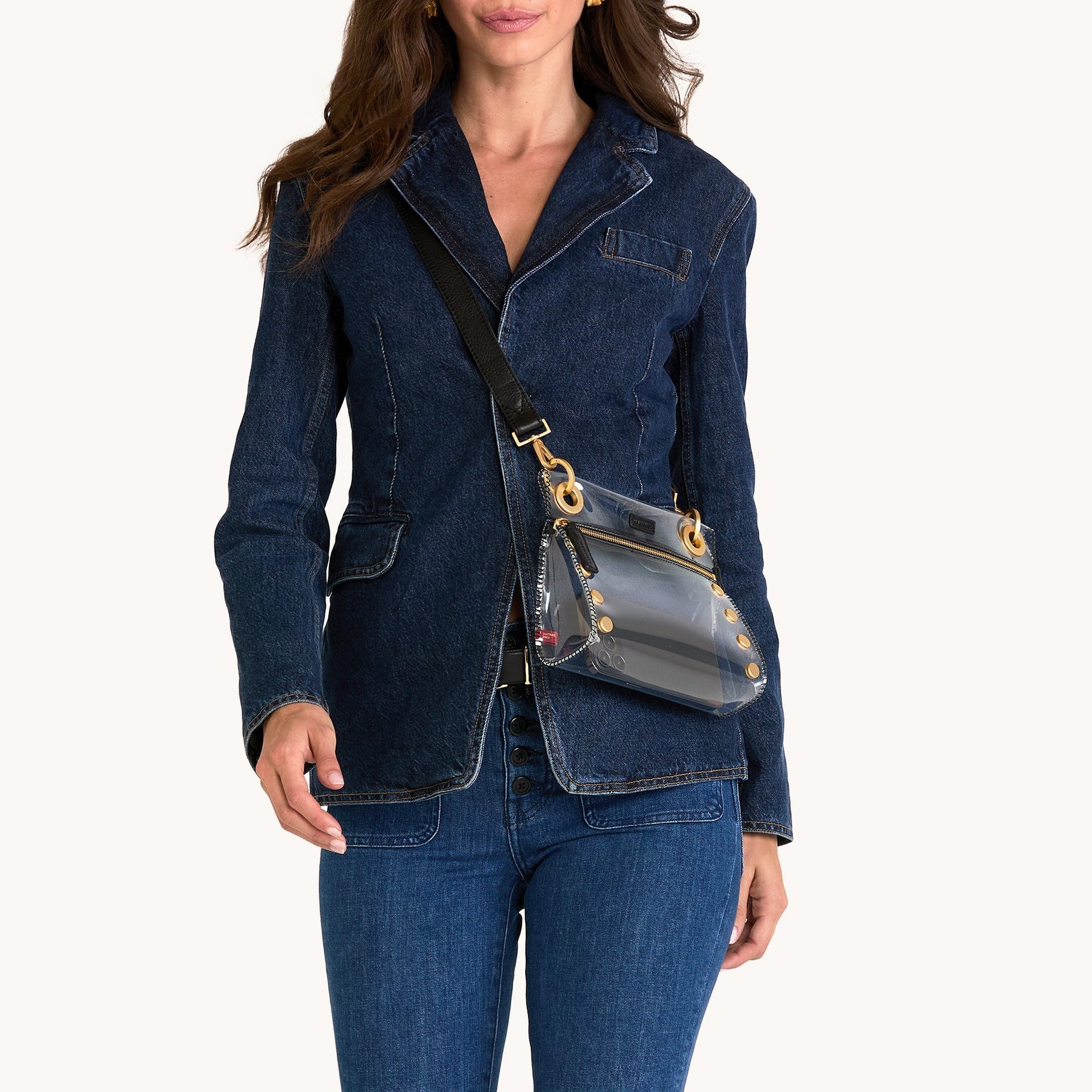 Hammitt Tony Clear  Small - Soft Leather Crossbody Bag