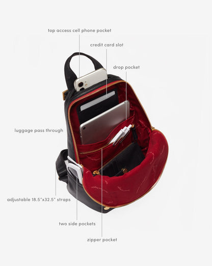 Hammitt Hunter  Medium - Soft Leather Mini Backpack