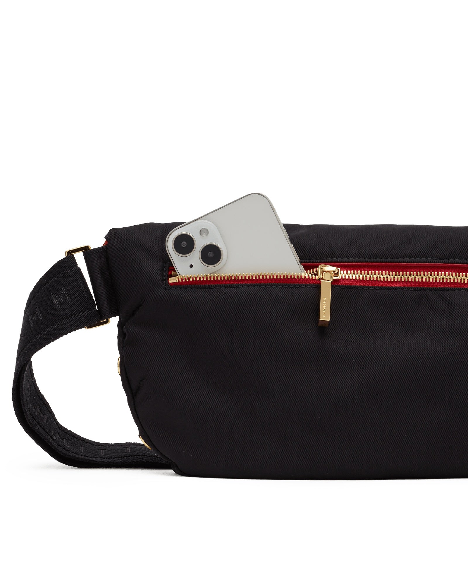 Hammitt Charles Crossbody Large