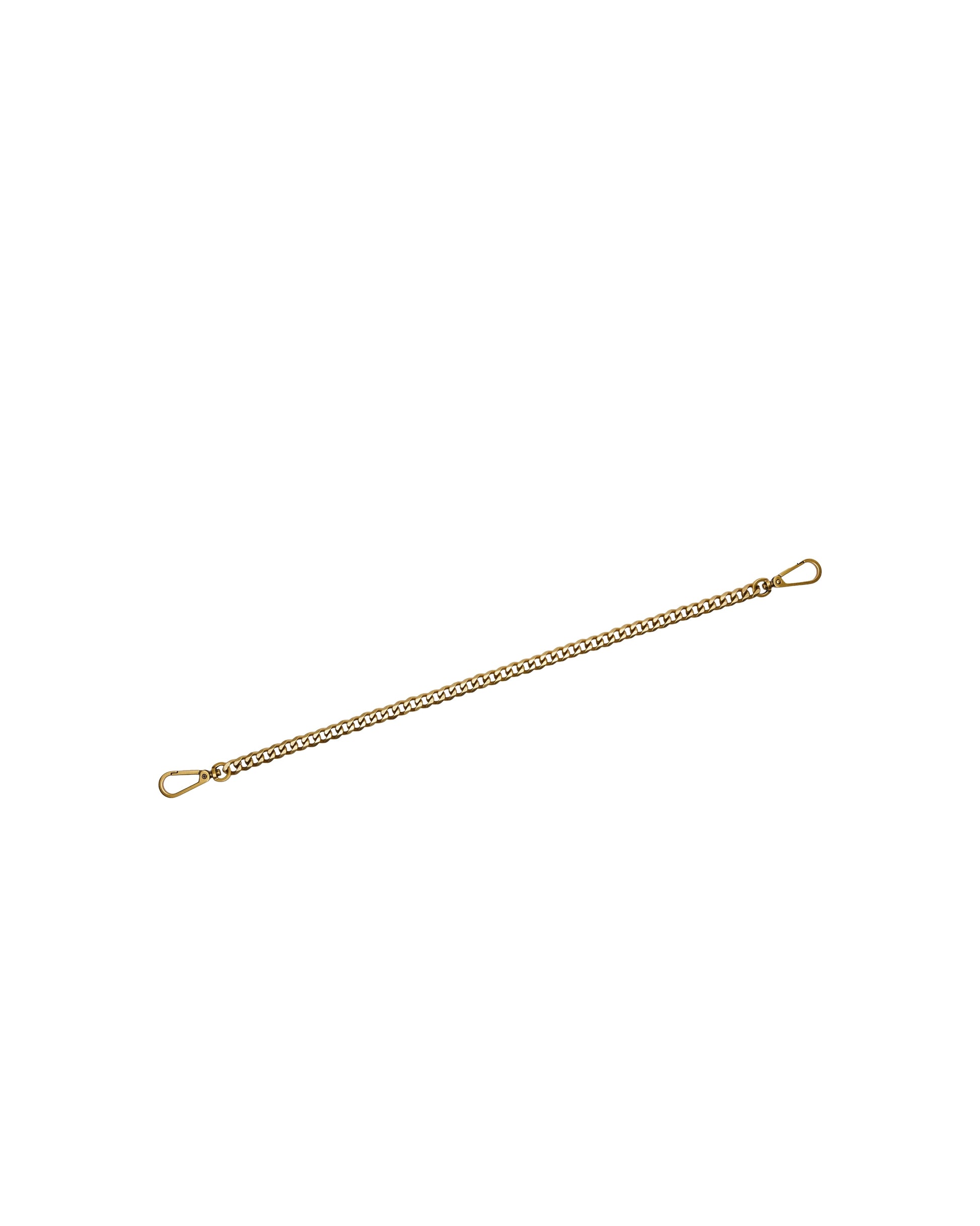 Hammitt Metal Chain Shoulder Strap Shoulder Strap - Bag Chain